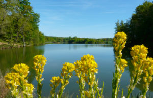 Galerie image 2